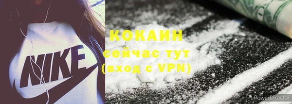 СК Зерноград