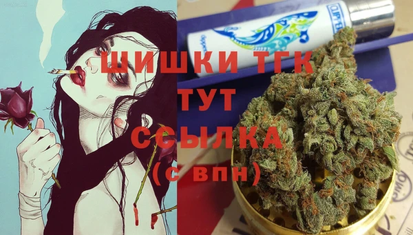 СК Зерноград