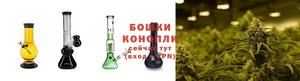 СК Зерноград